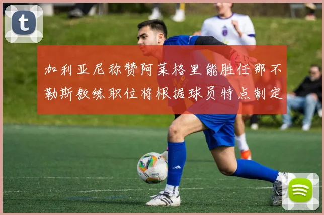 加利亚尼称赞阿莱格里能胜任那不勒斯教练职位将根据球员特点制定战术