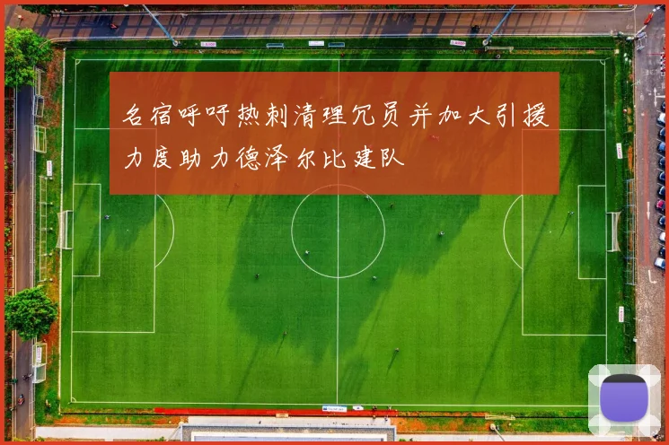 名宿呼吁热刺清理冗员并加大引援力度助力德泽尔比建队